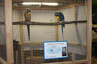 Zauberhafte Ausstellung Bild: Zauberhafte Ausstellung