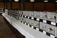 Zauberhafte Ausstellung Bild: Zauberhafte Ausstellung