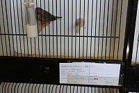 Zauberhafte Ausstellung Bild: Zauberhafte Ausstellung