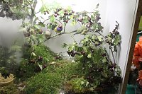 Zauberhafte Ausstellung Bild: Zauberhafte Ausstellung