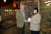 Zauberhafte Ausstellung Bild: Zauberhafte Ausstellung