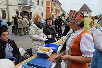 Bild: Fest der Demokratie gestartet