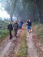 Herbstwanderung des Sondershäuser Hundevereins Bild: Herbstwanderung des Sondershäuser Hundevereins