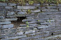Bild: Parkmauer wird saniert