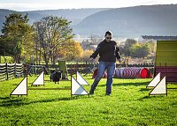Agility Fun-Turnier in der Hundeschule ABC Bild: Agility Fun-Turnier in der Hundeschule ABC