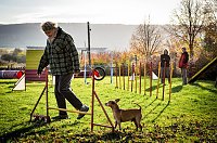 Agility Fun-Turnier in der Hundeschule ABC Bild: Agility Fun-Turnier in der Hundeschule ABC