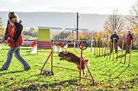 Agility Fun-Turnier in der Hundeschule ABC Bild: Agility Fun-Turnier in der Hundeschule ABC