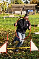 Agility Fun-Turnier in der Hundeschule ABC Bild: Agility Fun-Turnier in der Hundeschule ABC