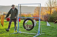 Agility Fun-Turnier in der Hundeschule ABC Bild: Agility Fun-Turnier in der Hundeschule ABC