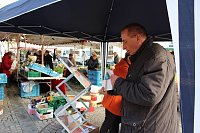 Nein zu Gewalt an Frauen Bild: Nein zu Gewalt an Frauen