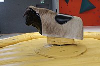 Aus Träumen wird Wirklichkeit Bild: Aus Träumen wird Wirklichkeit