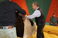 Aus Träumen wird Wirklichkeit Bild: Aus Träumen wird Wirklichkeit