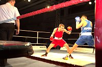 Nordhausen: NSV-Boxer sind klare Sieger gegen Straubing in der Ballspielhalle Bild: Nordhausen: NSV-Boxer sind klare Sieger gegen Straubing in der Ballspielhalle