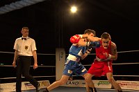Nordhausen: NSV-Boxer sind klare Sieger gegen Straubing in der Ballspielhalle Bild: Nordhausen: NSV-Boxer sind klare Sieger gegen Straubing in der Ballspielhalle