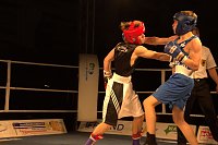 Nordhausen: NSV-Boxer sind klare Sieger gegen Straubing in der Ballspielhalle Bild: Nordhausen: NSV-Boxer sind klare Sieger gegen Straubing in der Ballspielhalle