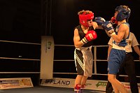 Nordhausen: NSV-Boxer sind klare Sieger gegen Straubing in der Ballspielhalle Bild: Nordhausen: NSV-Boxer sind klare Sieger gegen Straubing in der Ballspielhalle