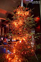 Party im Jugendclubhaus in Nordhausen Bild: Party im Jugendclubhaus in Nordhausen