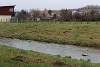 Bild: Maulwurfsinvasion im Schlosspark Sondershausen?