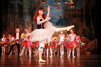 Bild: 20 Jahre Tanzstudio Radeva - eine Erfolgsgeschichte