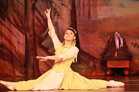 Bild: 20 Jahre Tanzstudio Radeva - eine Erfolgsgeschichte