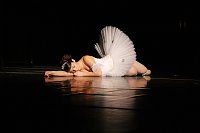 Bild: 20 Jahre Tanzstudio Radeva - eine Erfolgsgeschichte