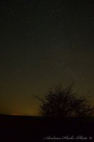 Der Nachthimmel über Greußen Bild: Der Nachthimmel über Greußen