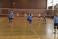 Volleyball in Nordhausen Bild: Volleyball in Nordhausen
