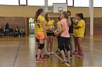 Volleyball in Nordhausen Bild: Volleyball in Nordhausen