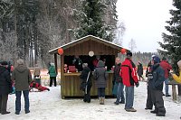 Bild: Schlittenhunderennen in Benneckenstein