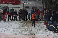 Bild: Schlittenhunderennen in Benneckenstein