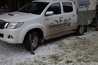 Bild: Schlittenhunderennen in Benneckenstein