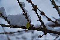 Bild: Winter in Greu&szlig;en