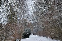 Bild: Winter in Greu&szlig;en