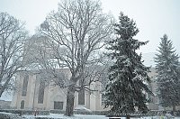 Bild: Winter in Greu&szlig;en