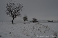 Bild: Winter in Greu&szlig;en