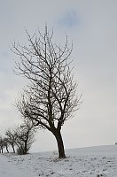 Bild: Winter in Greu&szlig;en