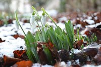 Bild: Winter in Greu&szlig;en