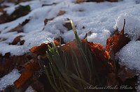 Bild: Winter in Greu&szlig;en
