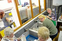 Kartoffelscheibenessen Bild: Kartoffelscheibenessen