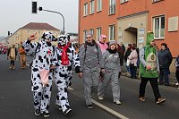Närrinnen und Narren zogen durch Sondershausen (1) Bild: Närrinnen und Narren zogen durch Sondershausen (1)