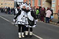 Närrinnen und Narren zogen durch Sondershausen (1) Bild: Närrinnen und Narren zogen durch Sondershausen (1)