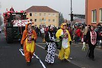 Närrinnen und Narren zogen durch Sondershausen (1) Bild: Närrinnen und Narren zogen durch Sondershausen (1)