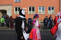 Närrinnen und Narren zogen durch Sondershausen (2) Bild: Närrinnen und Narren zogen durch Sondershausen (2)