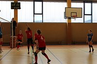 Neues vom Volleyball Bild: Neues vom Volleyball
