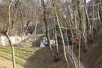 Neue Freifläche Kurpark übergeben Bild: Neue Freifläche Kurpark übergeben