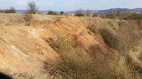 NABU-Kyffhäuserkreis- Aktuell: Bild: NABU-Kyffhäuserkreis- Aktuell: