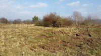 NABU-Kyffhäuserkreis- Aktuell: Bild: NABU-Kyffhäuserkreis- Aktuell: