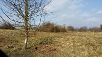 NABU-Kyffhäuserkreis- Aktuell: Bild: NABU-Kyffhäuserkreis- Aktuell: