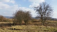 NABU-Kyffhäuserkreis- Aktuell: Bild: NABU-Kyffhäuserkreis- Aktuell: