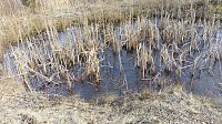 NABU-Kyffhäuserkreis- Aktuell: Bild: NABU-Kyffhäuserkreis- Aktuell: